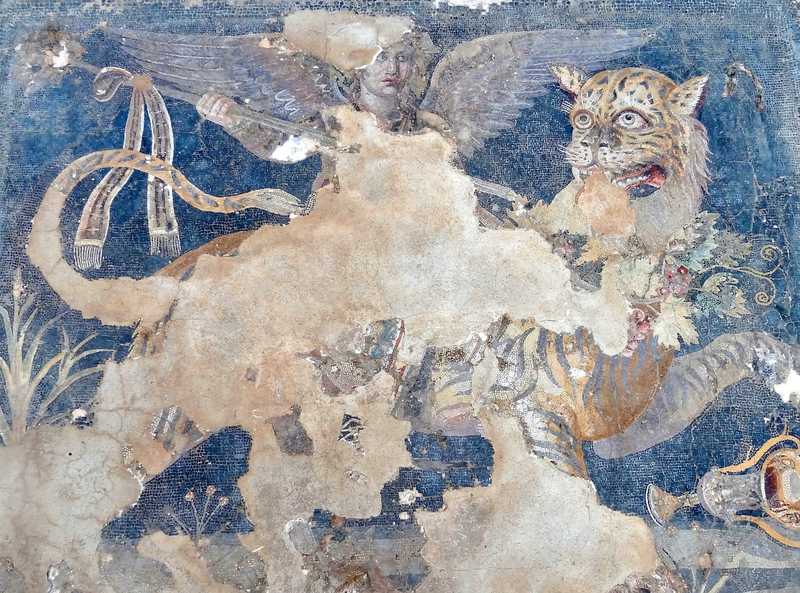 Delos Museum Mosaik Dionysos 06