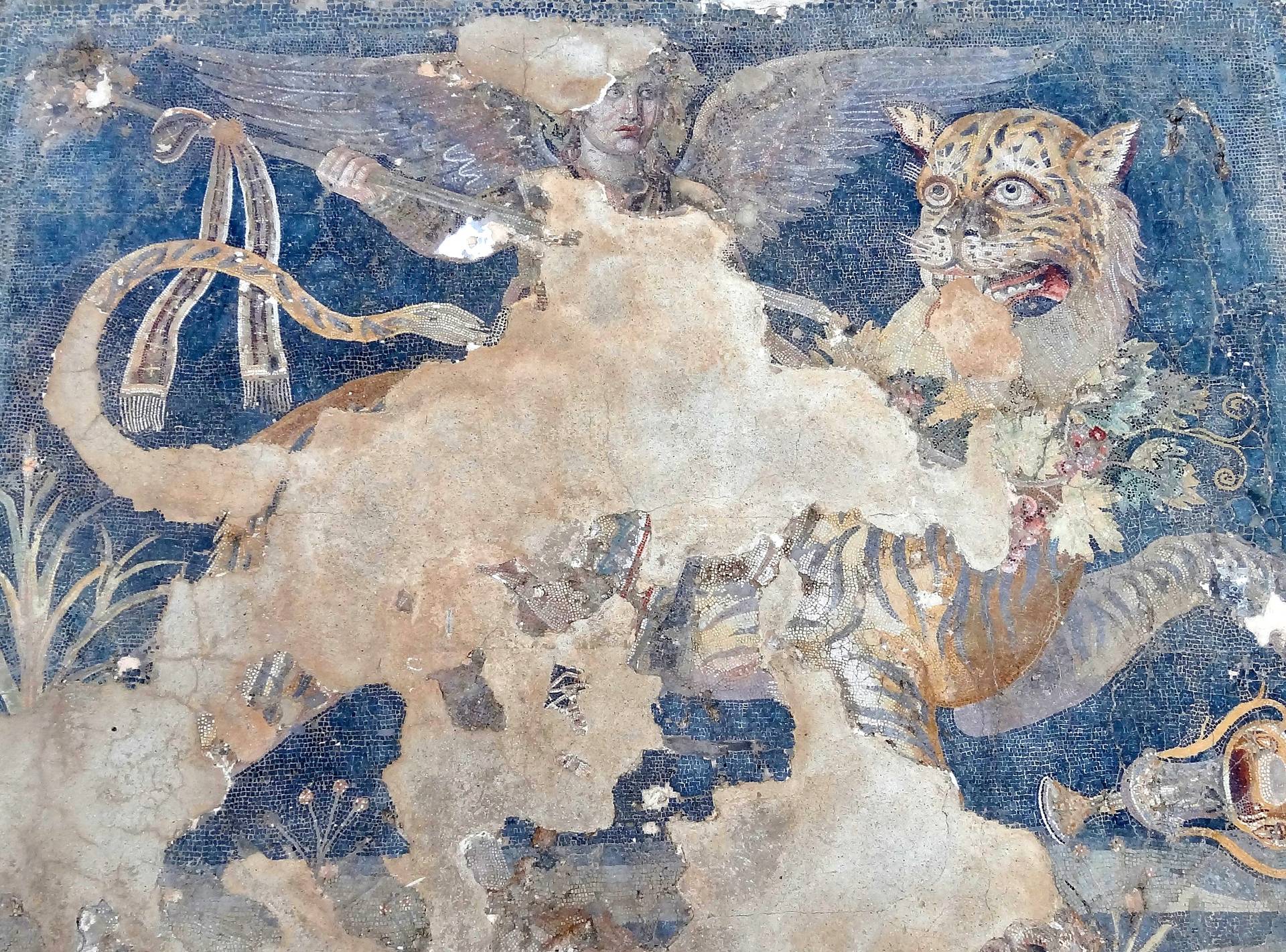 Delos Museum Mosaik Dionysos 06